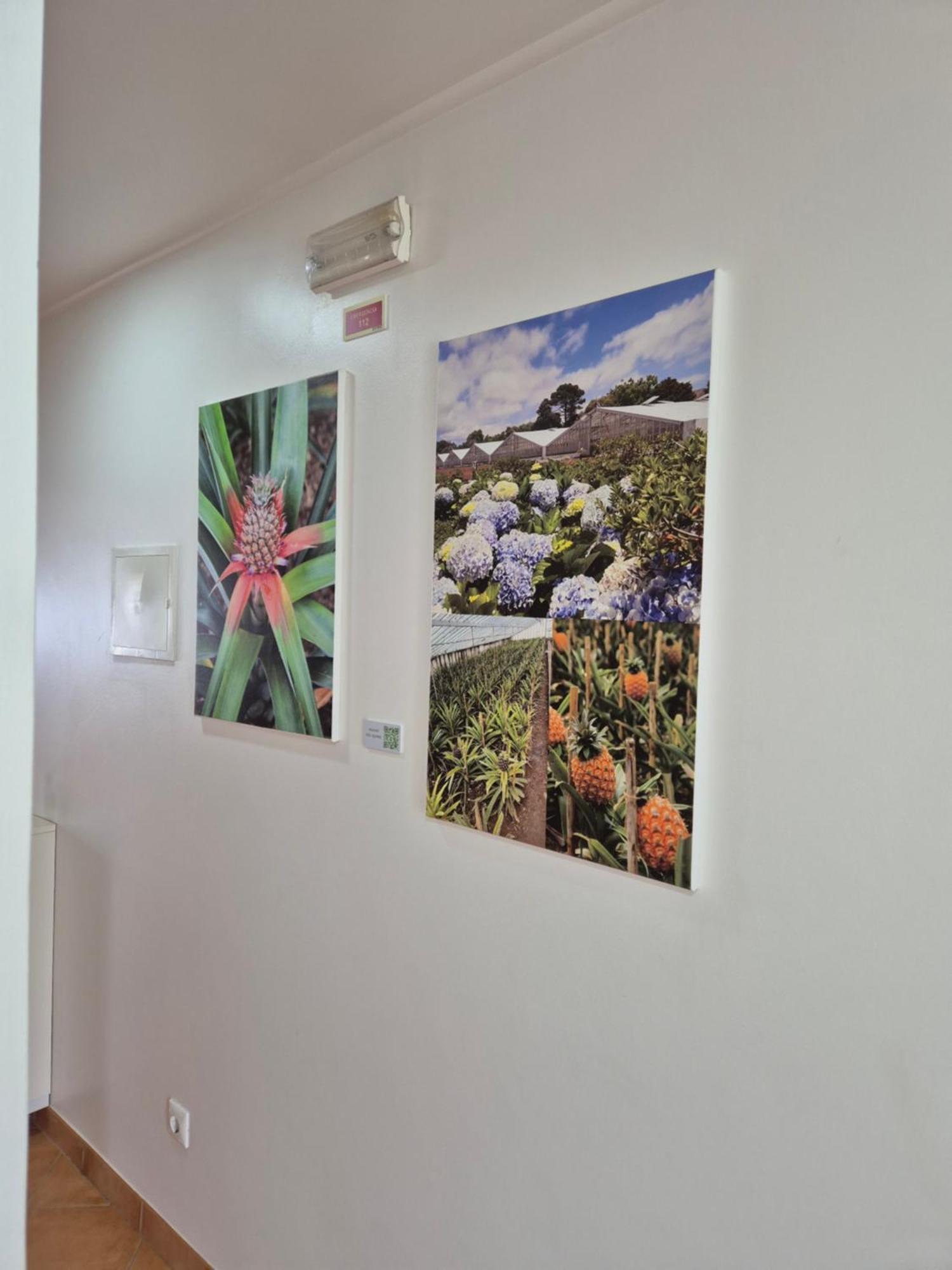 Apartmán A Caminho Da Ilha Ponta Delgada Exteriér fotografie